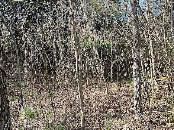 3rd image of 14 Oak Hammock Cir Lot Pt11