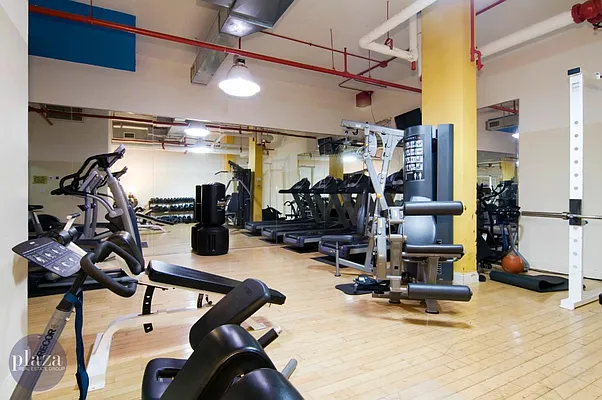 Rented by Plaza Real Estate Group | media 40