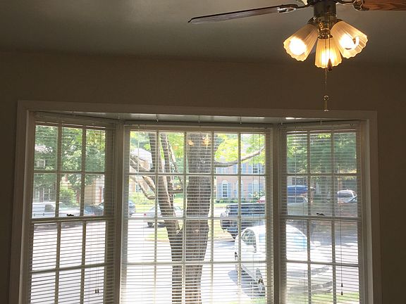 Kitchen Window