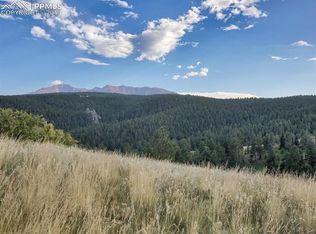 222 Columbine Pl, Woodland Park, CO 80863