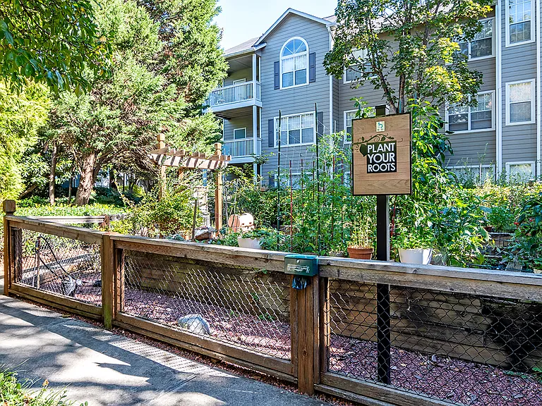 Hawthorne North Druid Hills — Photo 22