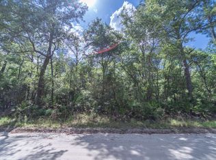 0 SE Wild Turkey Rd, Branford, FL 32008