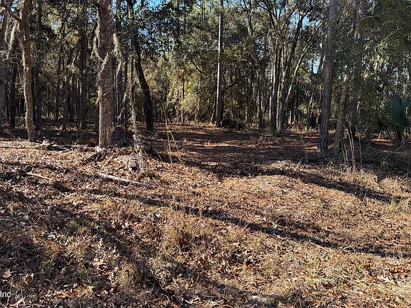 3rd image of 131 SPRING LAKE Drive
