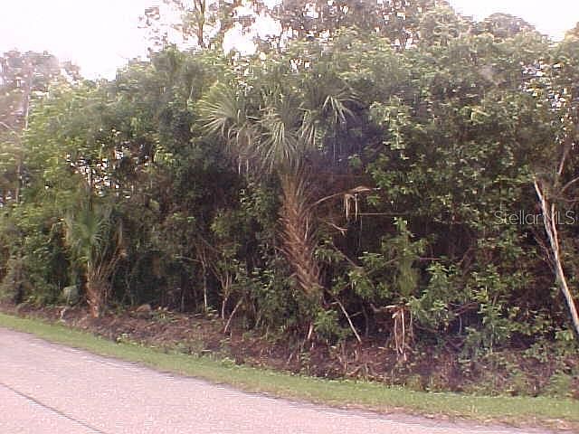 2nd image of Myakka Rd