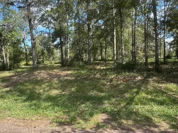 County Road 175, Gary, TX 75643