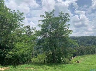 1112 Gizzard Point Rd, Scottsboro, AL 35768