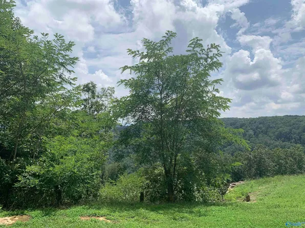 1112 Gizzard Point Rd, Scottsboro, AL 35768