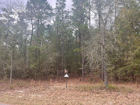 3rd image of 0 Edisto Lake Rd