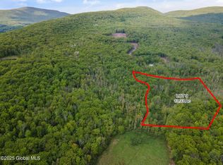 1 Galway Rd, Windham, NY 12496