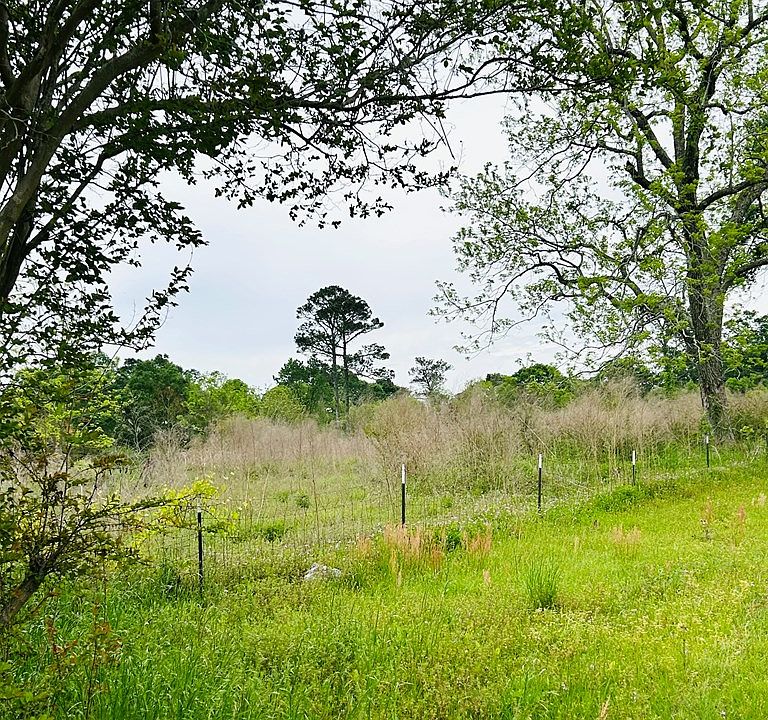 275 Bailey Rd, Brantley, AL 36009 Zillow