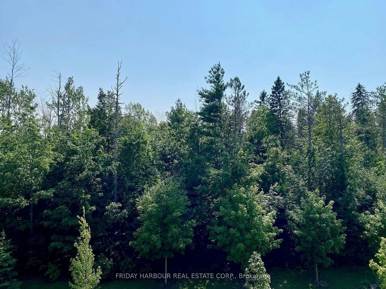 2 bed, $2,400 — Photo 2