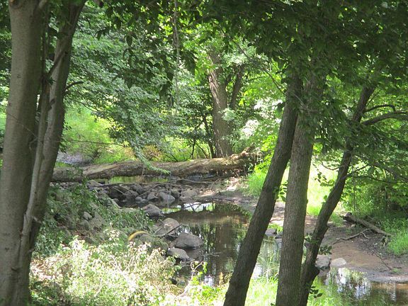 4th image of 30825 Longnecker Rd