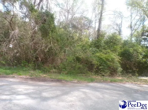 LOT 8 Easy St, Hartsville, SC 29550