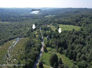 153 Shore Road, White Sulpher Springs, NY 12787