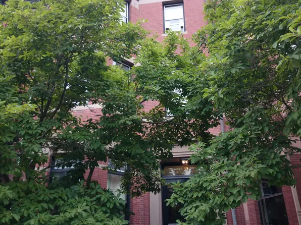 339 Commonwealth Ave APT 30, Boston, MA 02115
