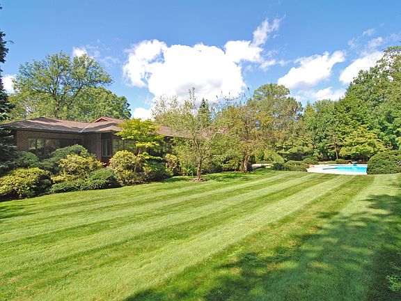 BackYard.jpg