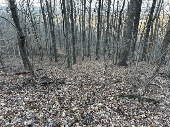 76 Fox Ridge Rd #76, Pikeville, TN 37367