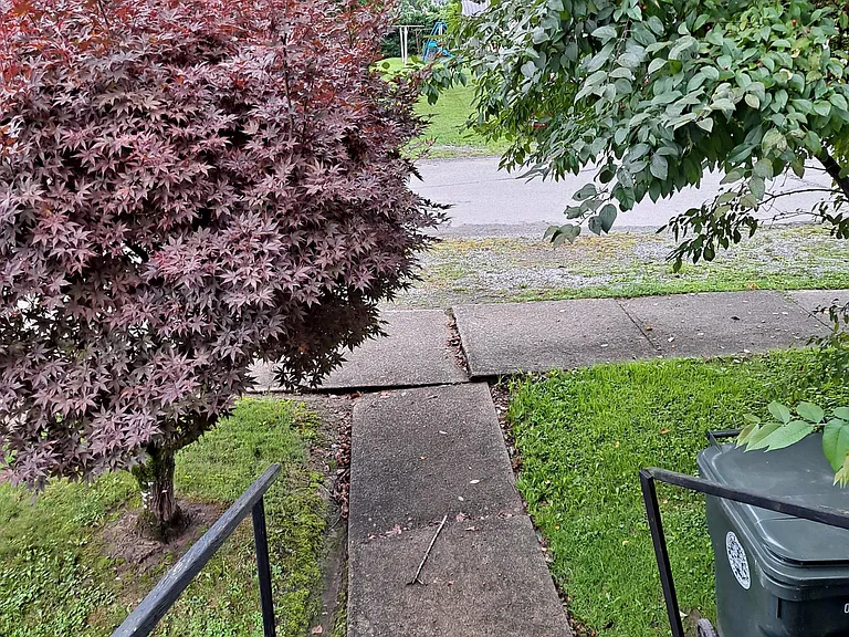 187 Pocahontas St — Photo 13