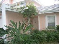 1st image of 6277 Bellerive Ave