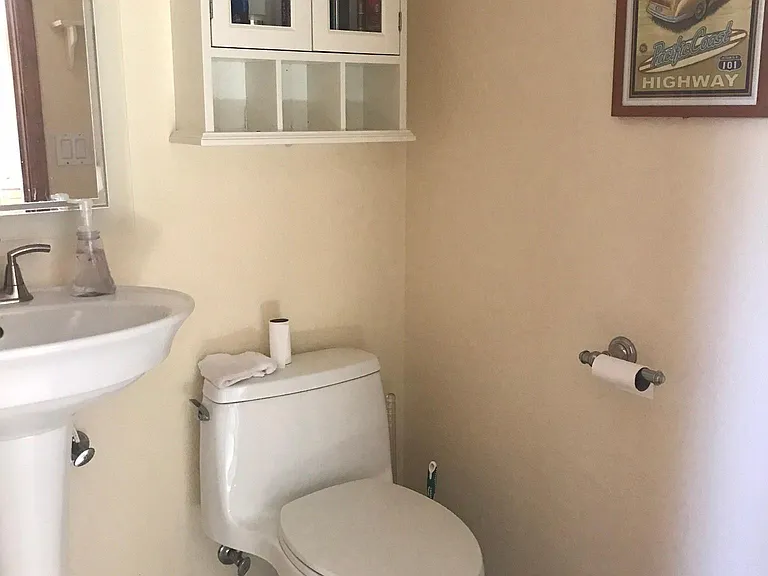 Downstairs Powder Room