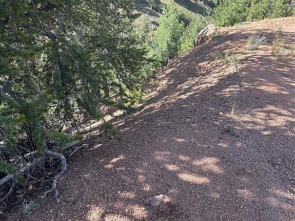 4th image of 642 Oil Creek Dr
