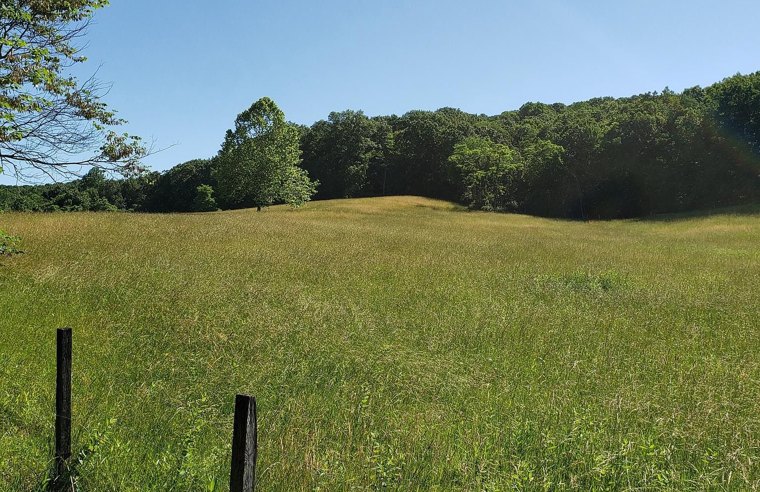 17200 White Dove Ln, Oldtown, MD 21555 Zillow