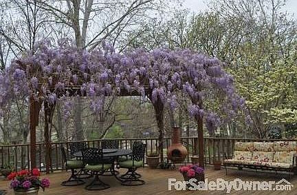 Backyard
						:
						Deck off of house with Pergola