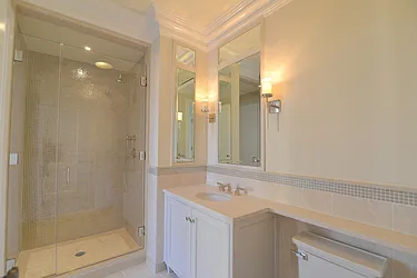 Sold by Carol E Levy