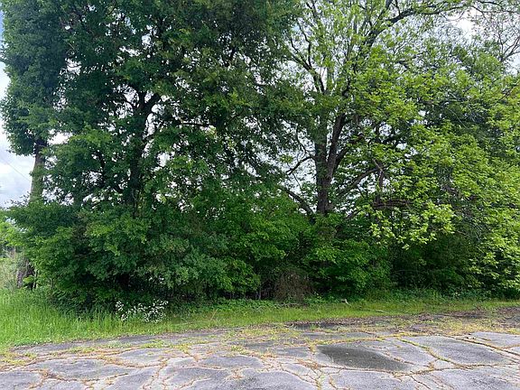 3rd image of 0 State Highway 65 #11