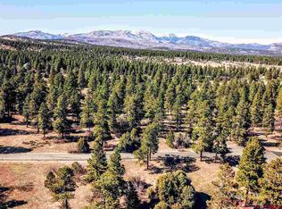 385 Blue Rdg, Durango, CO 81303