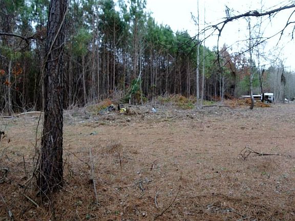 4th image of County Road 899 Sacul Tx #75788