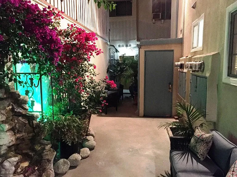rear patio garden