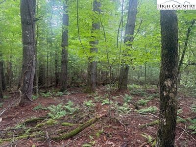 TBD Beaver Creek Drive, West Jefferson, NC, 28694