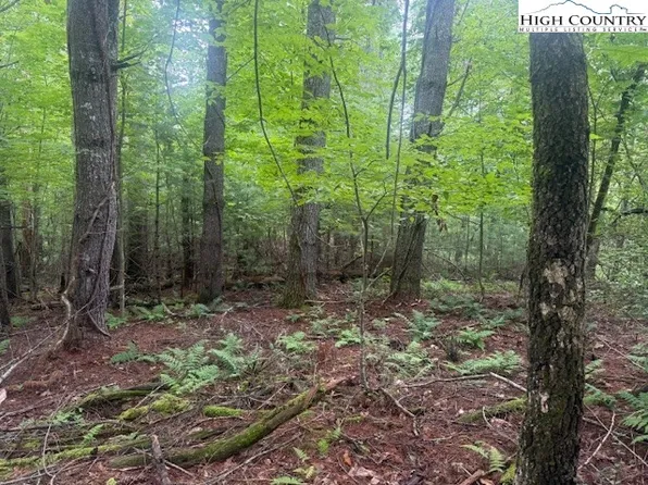 TBD Beaver Creek Drive, West Jefferson, NC 28694