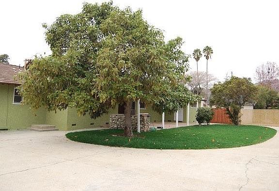 Back Yard Facing North