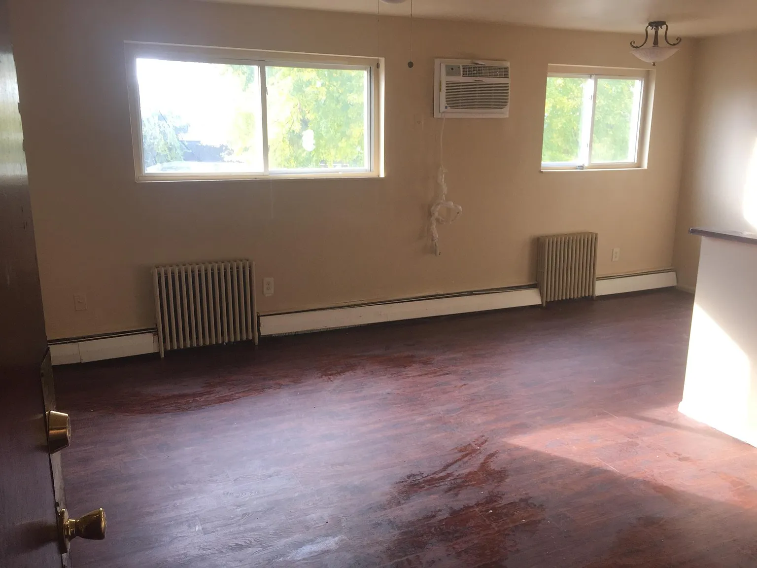1 bed, $1,000 — Photo 1