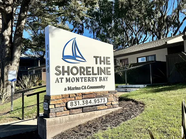 The Shoreline at Monterey Bay