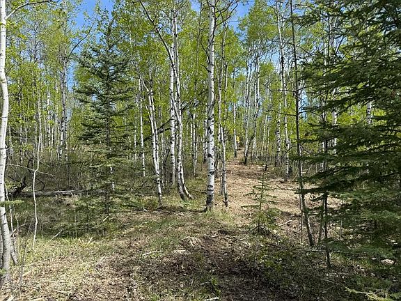 3rd image of 29066 Range Road 52 #40