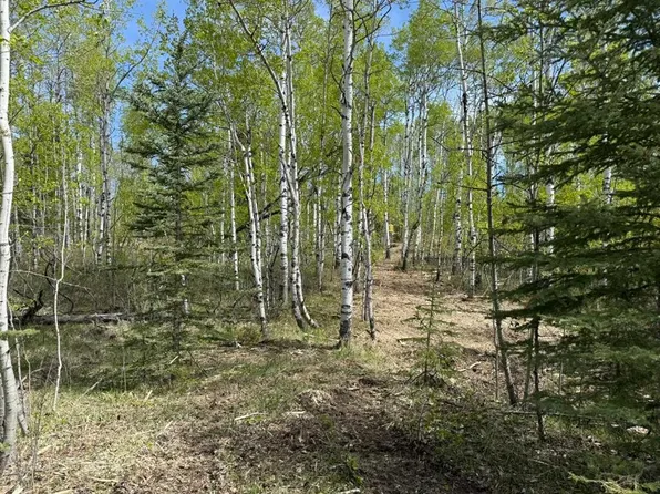 29066 Range Road 52 #40, Mountain View County, AB T0M 2E0