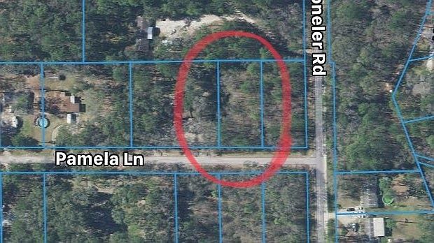 1st image of Pamela Ln