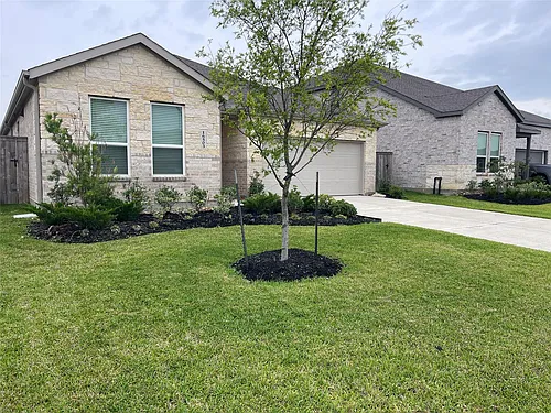 16503 Texas Palmetto Way Photo 1