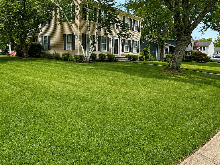 5 Dennison Pl — Photo 7