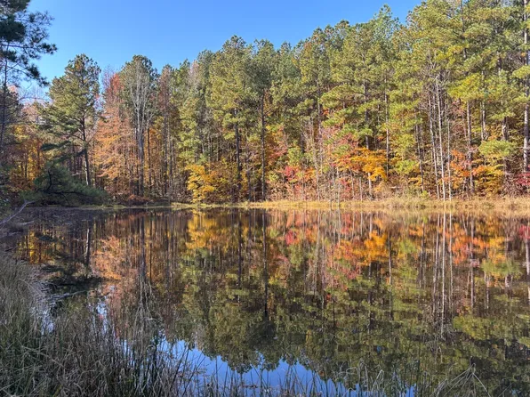 Cartledge Creek Rd, Ellerbe, NC 28338