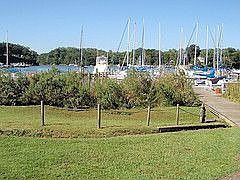 Community Marina