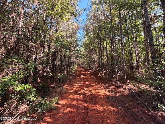 4th image of Tom Mans Rd