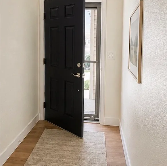 modern costume front door
