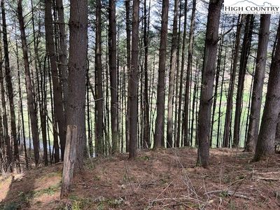 Lot #12 River Spring Road, Sugar Grove, NC, 28679