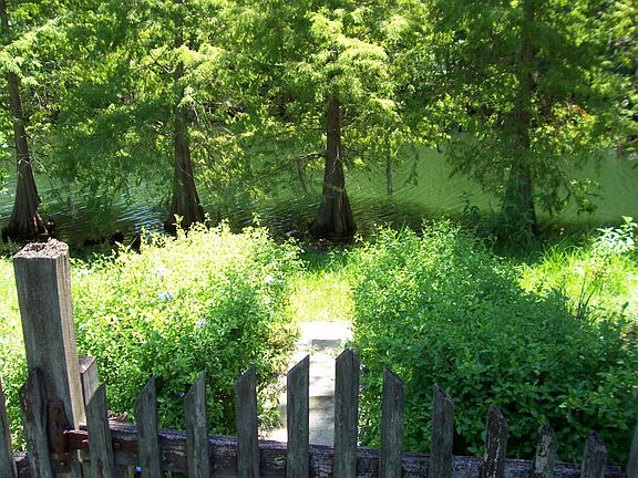 view from yard