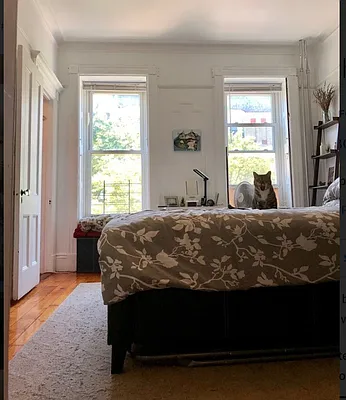 Rented by Halstead Real Estate | media 55