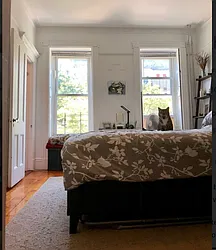 Rented by Halstead Real Estate